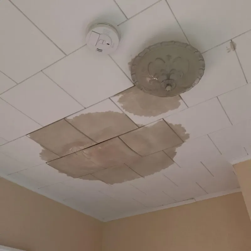 Ceiling Water Damage Repair in Redstone Arsenal, AL