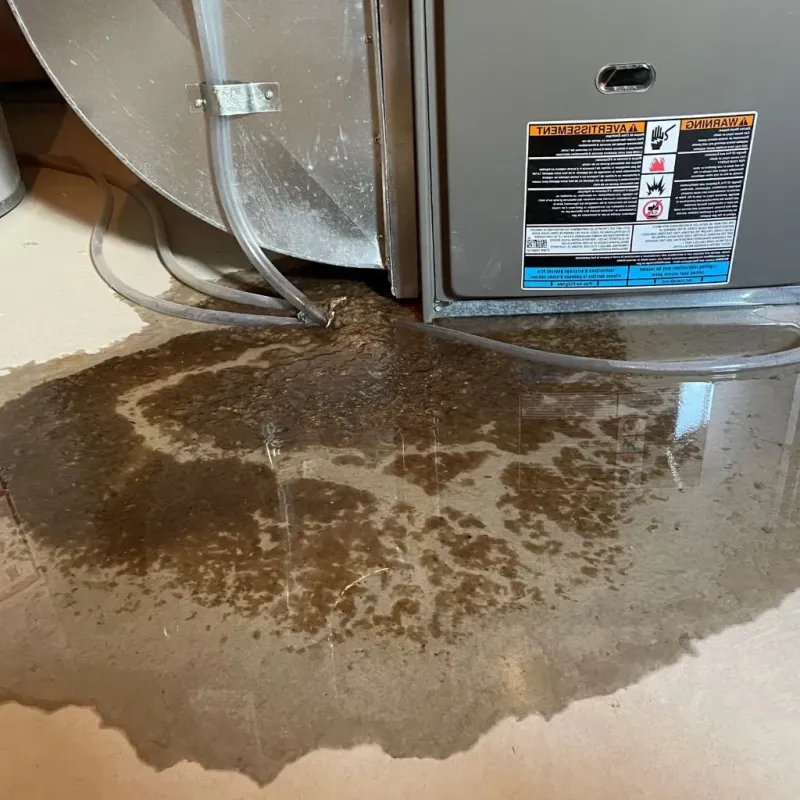 Pipe Burst and Leak Restoration in Redstone Arsenal, AL